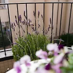Des Etrangers Sanremo