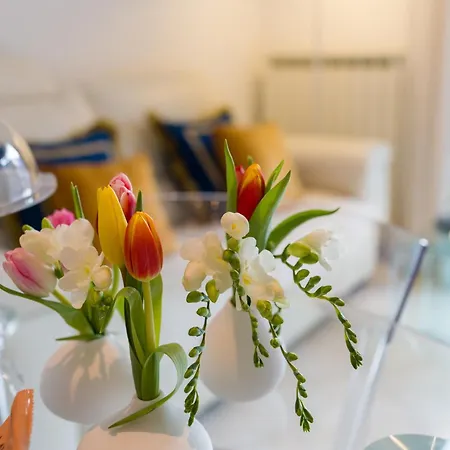 Suite Des Etrangers -Appartamento In Centro-City Center Apartment-Parcheggio Privato- Private Parking Διαμέρισμα Σαν Ρέμο
