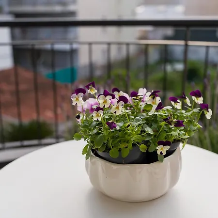 Suite Des Etrangers -Appartamento In Centro-City Center Apartment-Parcheggio Privato- Private Parking Σαν Ρέμο