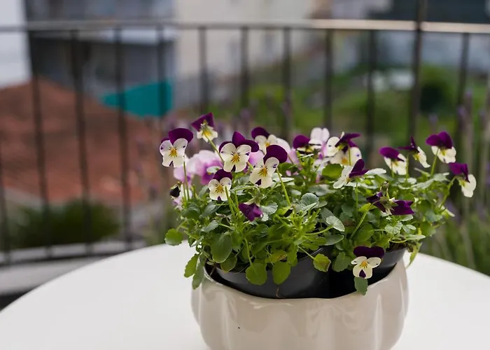 Des Etrangers Sanremo